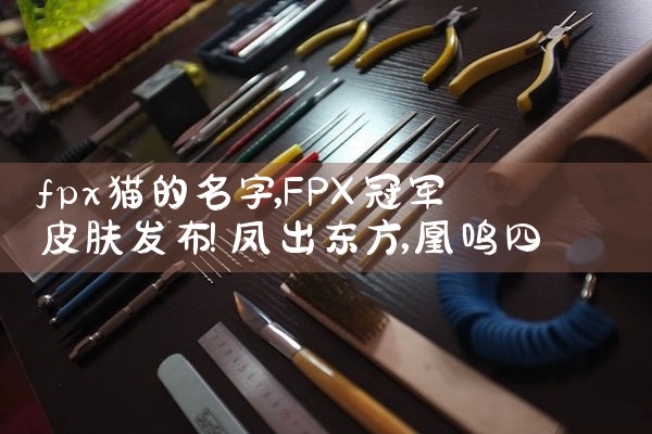 fpx猫的名字|Telegram纸飞机下载