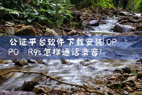 公证平台软件下载安装|汽水音乐下载