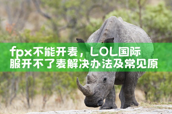 fpx不能开麦|Telegram纸飞机下载