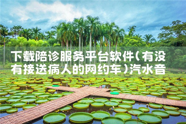 下载陪诊服务平台软件|汽水音乐下载