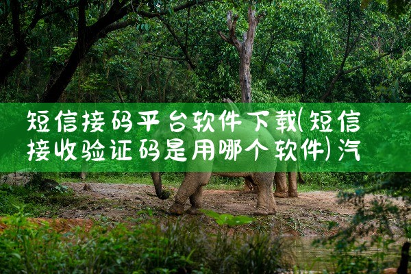 短信接码平台软件下载|汽水音乐下载