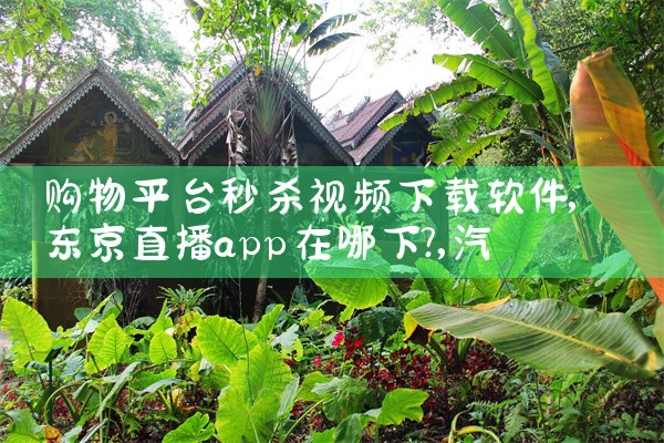 购物平台秒杀视频下载软件|汽水音乐下载