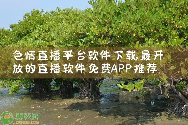 色情直播平台软件下载|飞机聊天app下载
