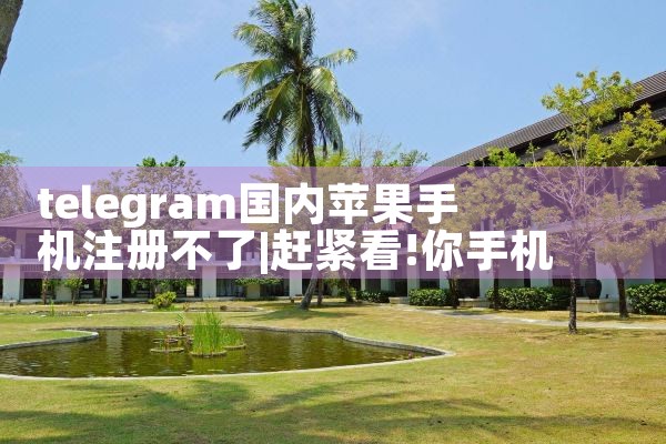 telegram国内苹果手机注册不了|苹果telegram