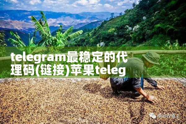 telegram最稳定的代理码|苹果telegram