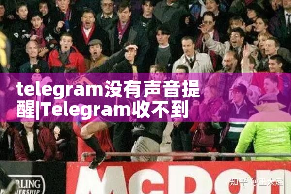 telegram没有声音提醒|苹果telegram