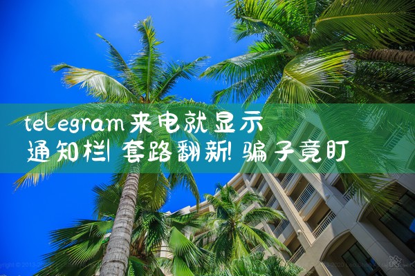 苹果软件下载平台图片|飞机聊天app下载