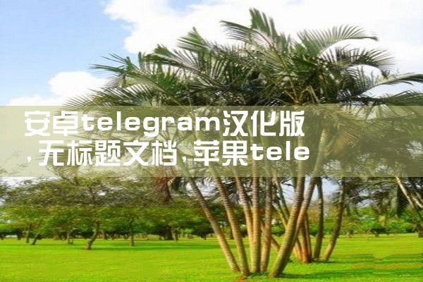 安卓telegram汉化版|苹果telegram