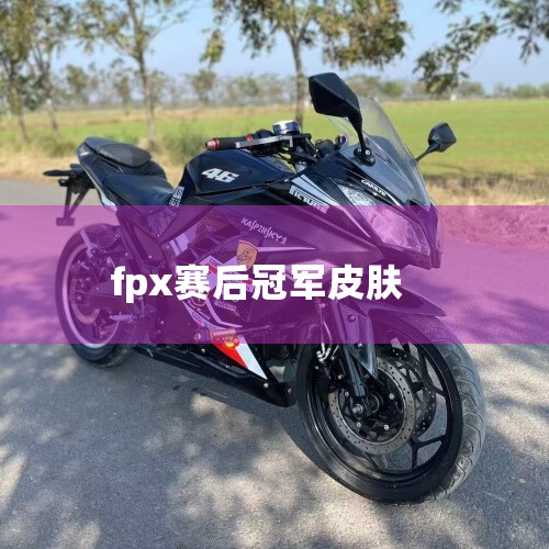 FPX战队的冠军皮肤，所承载的英雄分别是：无畏的海盗普朗克、疾风剑豪李青、熔岩巨兽墨菲特、暗夜猎手薇恩以及魂锁典狱长锤石。普朗克 - 无畏的海盗 这款皮肤由FPX的GimGoon（金韩泉）选手倾情演绎,Telegram纸飞机下载