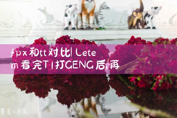 fpx和tt对比|Telegram纸飞机下载