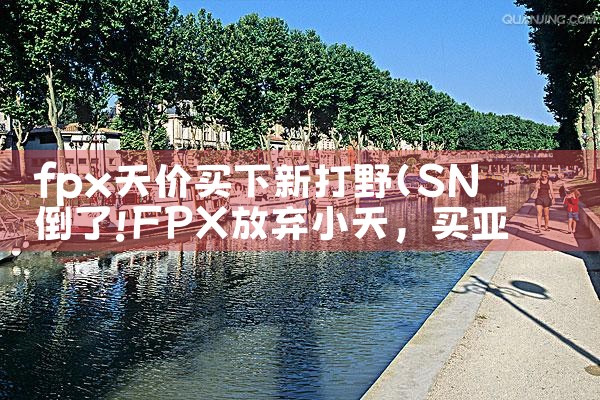 fpx天价买下新打野|Telegram纸飞机下载