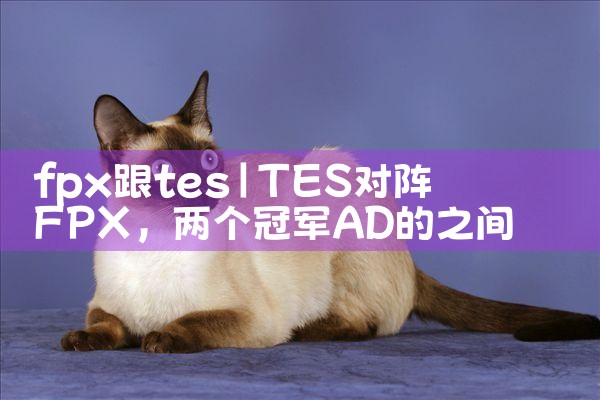 fpx跟tes|Telegram纸飞机下载
