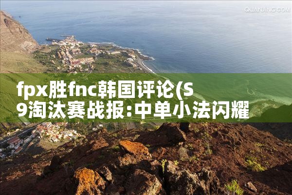 fpx胜fnc韩国评论|Telegram纸飞机下载