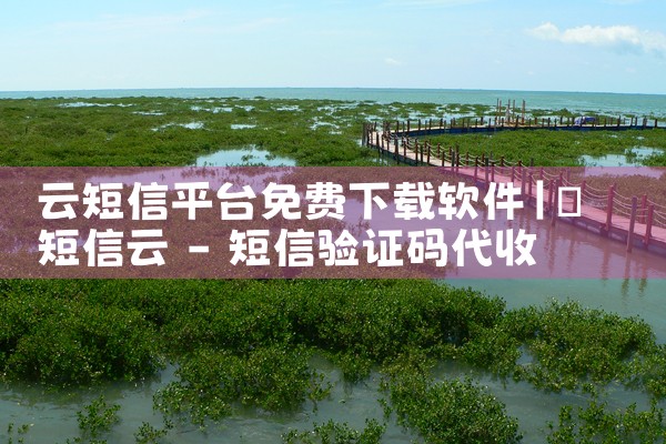 云短信平台免费下载软件|汽水音乐下载