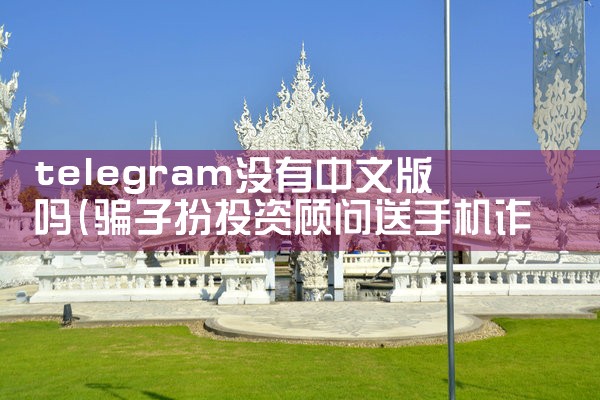 telegram没有中文版吗