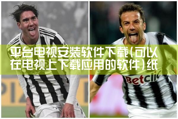 平台电视安装软件下载|纸飞机中文版