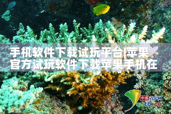 手机软件下载试玩平台|纸飞机中文版
