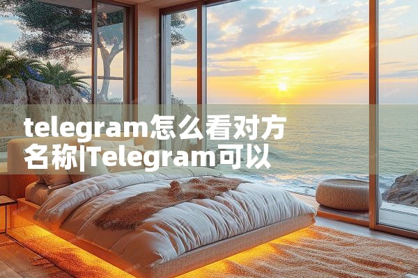 telegram怎么看对方名称