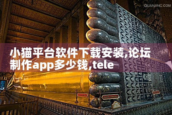 小猫平台软件下载安装|telegram desktop中文