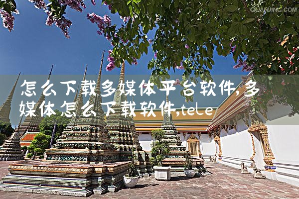 帅哥推荐平台下载软件|telegram desktop中文