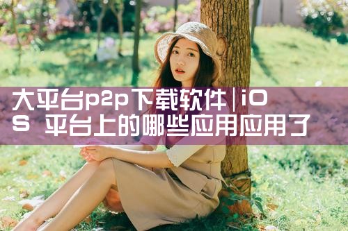 大平台p2p下载软件