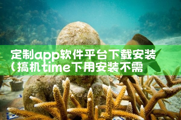 定制app软件平台下载安装