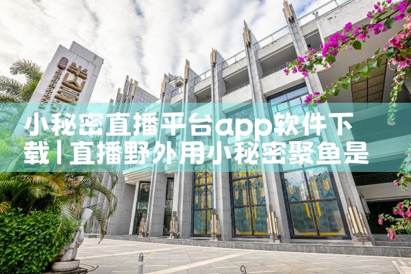 小秘密直播平台app软件下载