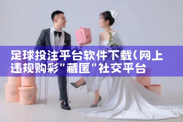 足球投注平台软件下载|纸飞机下载