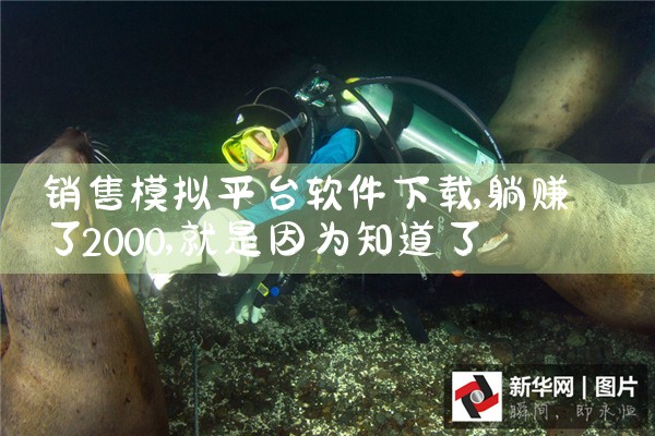 销售模拟平台软件下载|纸飞机下载