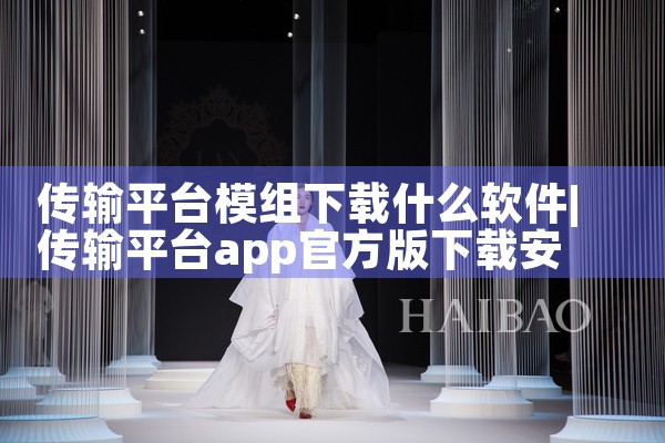传输平台模组下载什么软件|纸飞机中文版