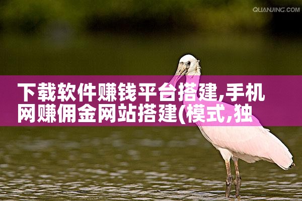 下载软件赚钱平台搭建|纸飞机下载