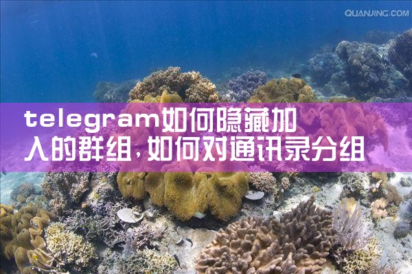 telegram如何隐藏加入的群组|苹果telegram
