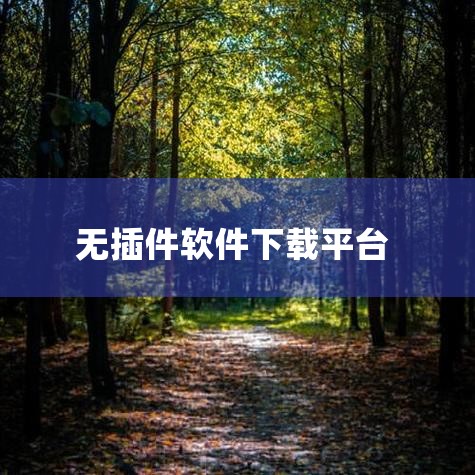 后来做数码博主才知道，这些坑都是第三方平台的 “盈利套路”：用 “免费”“高速” 当诱饵，把真正的下载链接藏在广告里；安装时默认勾选捆绑软件，“一键安装” 其实是 “一键装全家”；更有甚者，伪装成官方|纸飞机下载