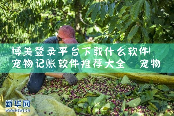 博美登录平台下载什么软件