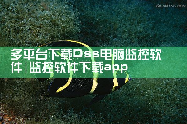 多平台下载Dss电脑监控软件