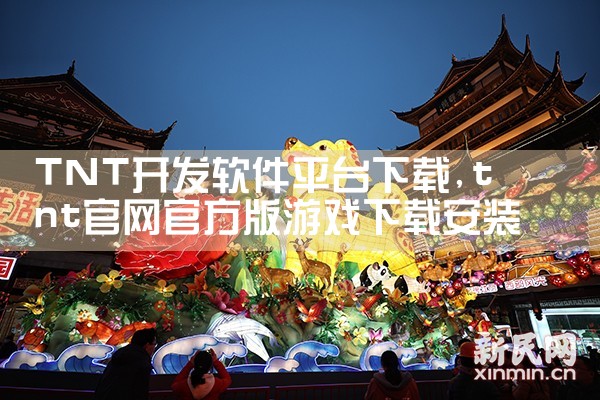 TNT开发软件平台下载