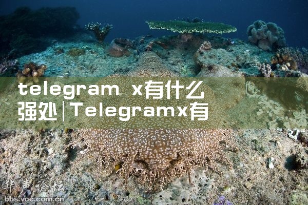 telegram x有什么强处