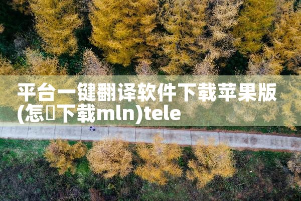 平台一键翻译软件下载苹果版|telegram官网下载，纸飞机下载