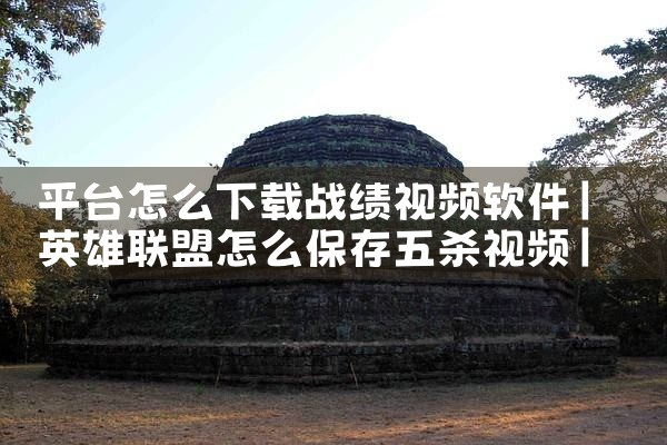 平台怎么下载战绩视频软件|纸飞机中文版