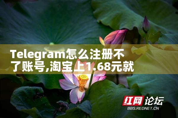 telegram无法转收藏夹
