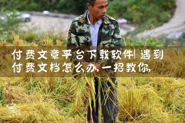 付费文章平台下载软件|纸飞机下载