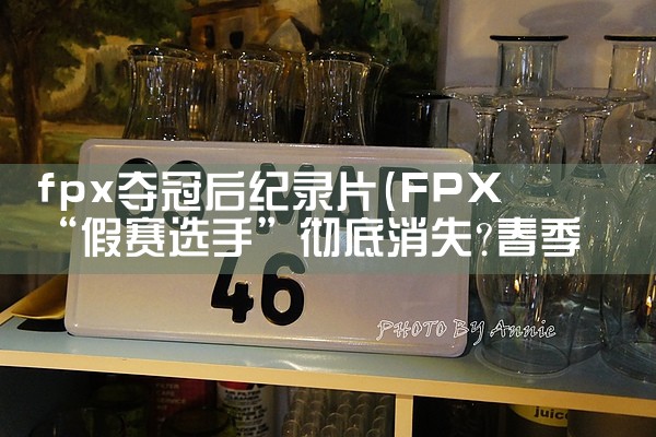 fpx夺冠后纪录片|Telegram纸飞机下载