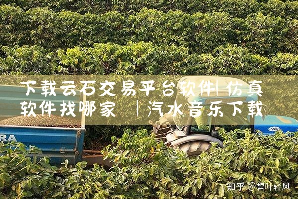 下载云石交易平台软件|汽水音乐下载