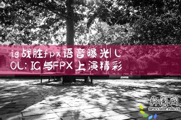 ig战胜fpx语音曝光|Telegram纸飞机下载