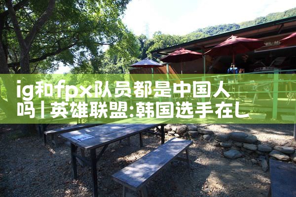 ig和fpx队员都是中国人吗|Telegram纸飞机下载