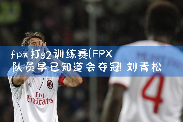 fpx打g2训练赛|Telegram纸飞机下载