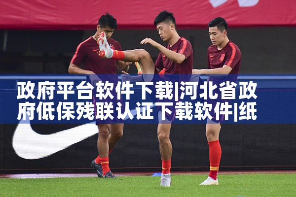 政府平台软件下载|纸飞机app官网中文版