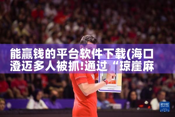 能赢钱的平台软件下载|纸飞机中文版